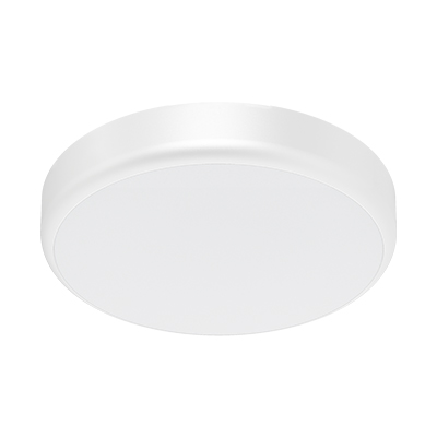 Ceiling Light