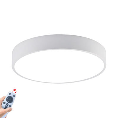 Ceiling Light Blade