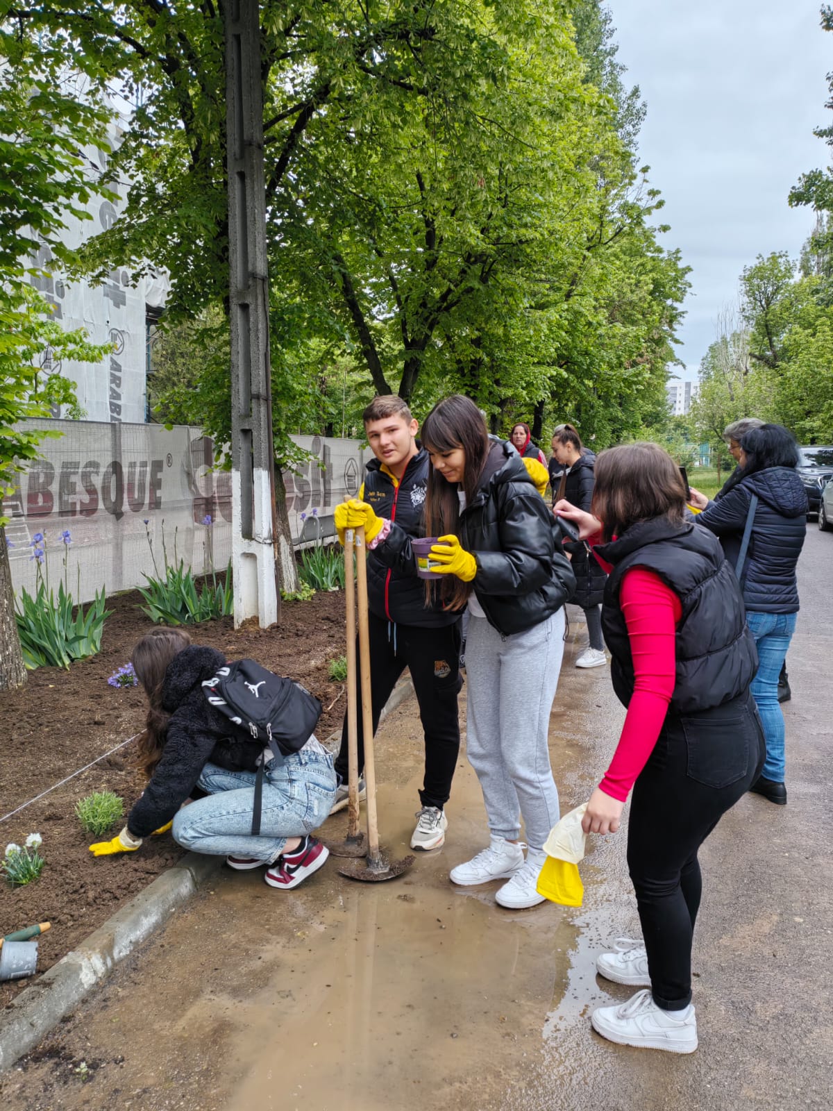 Saptamana verde liceu 2