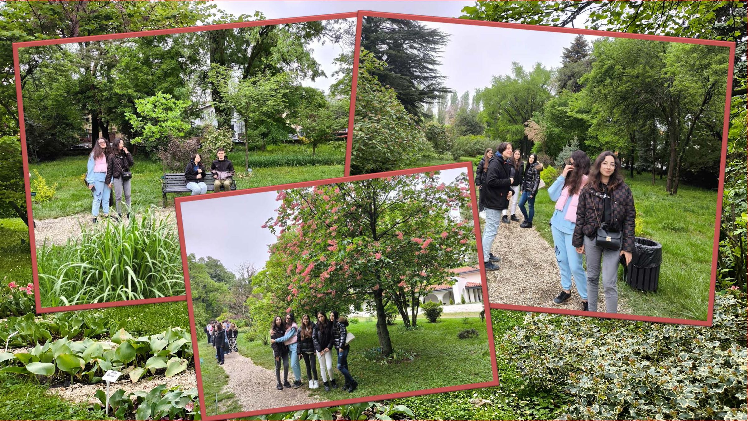 ALBUM GRADINA BOTANICA Page 2