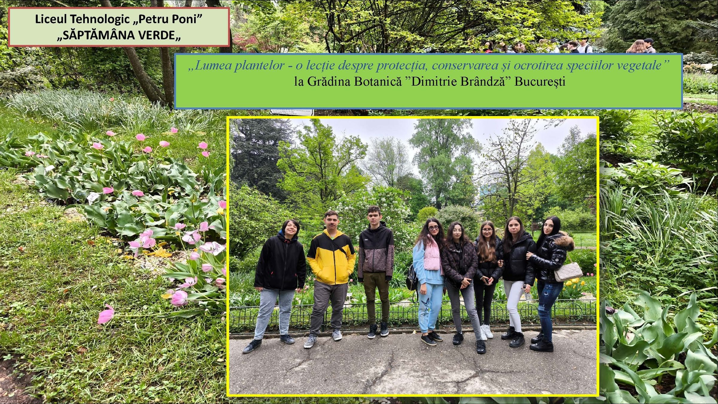 ALBUM GRADINA BOTANICA Page 1