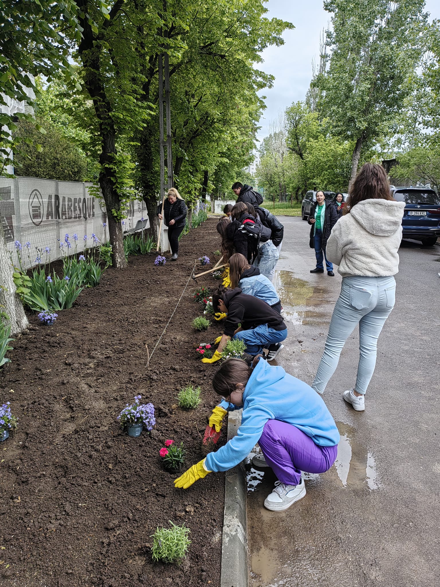 Saptamana verde liceu 3