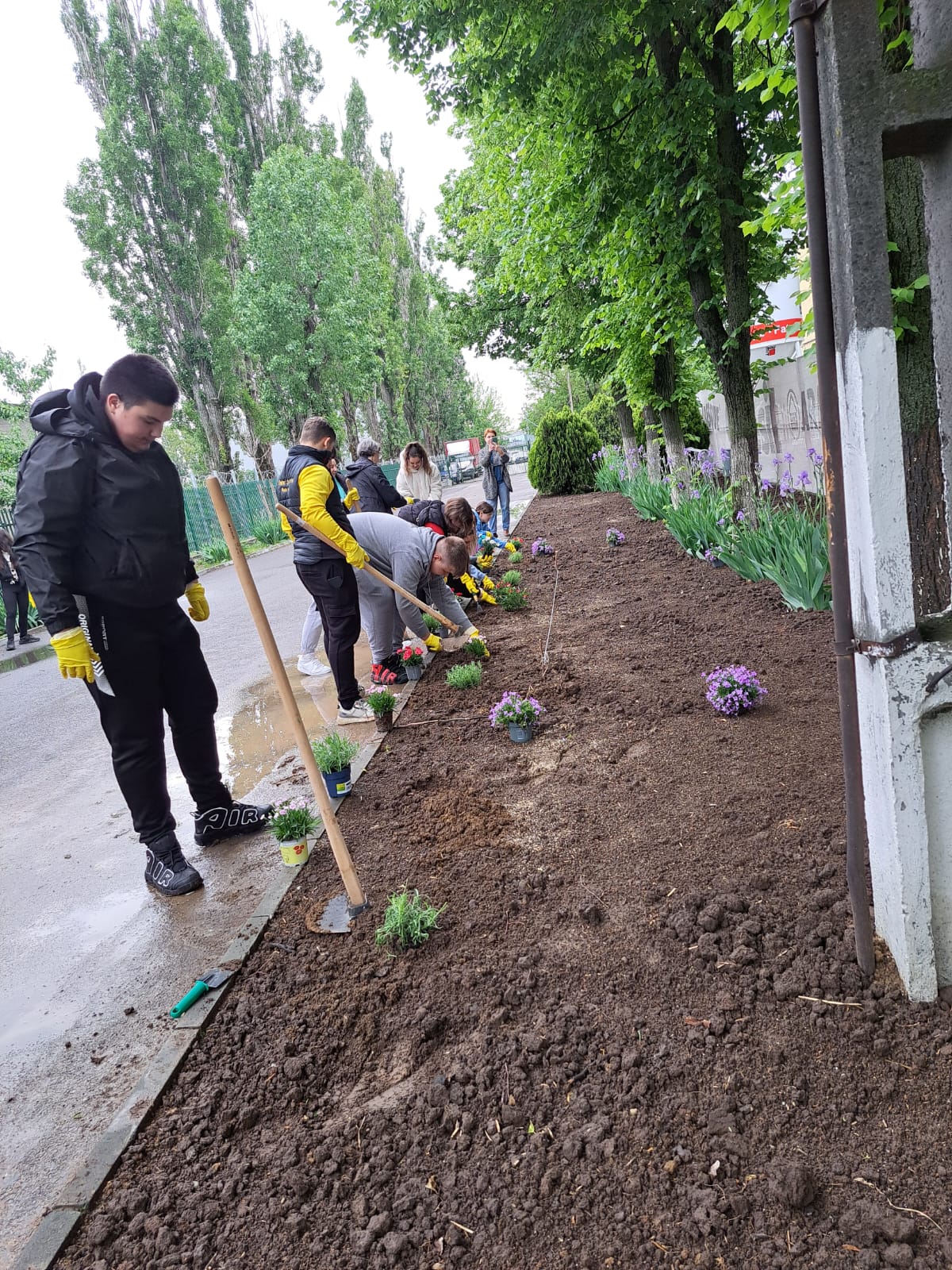 Saptamana verde liceu 1
